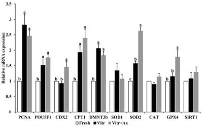 Astaxanthin Supplementation Improves the Subsequent Developmental Competence of Vitrified Porcine Zygotes